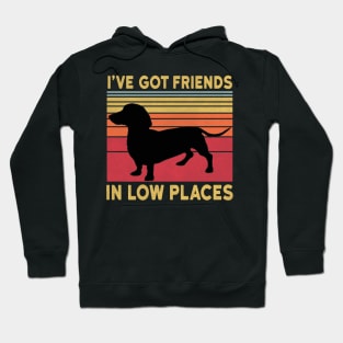 Ive got friends in low places Hoodie